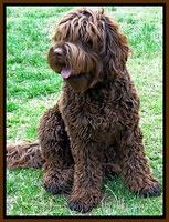 Liza 2 years old sit