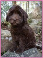 McNally Family: Genny