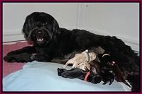 Bess Bronson newborn 31