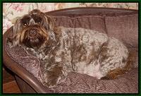 Cherie preg 5 day 54