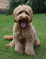 Flicker Aug 28 201551