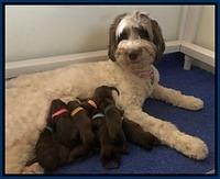 Fanny newborn 3