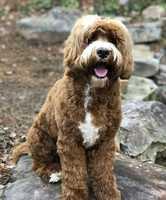 Harbins first hair cut 1 5 17 41