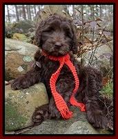 McRae family Guardian: Beatrix of Burgandy "Trixie"