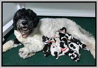 Paris Bronson Newborn 31