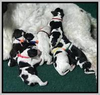 Paris Bronson Newborn 41